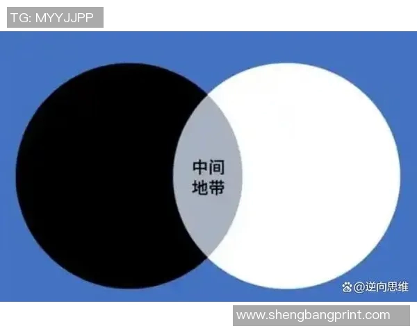 《探索玩具世界的无限可能：从创意设计到教育功能的多维度创新》