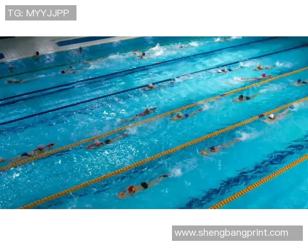 提升仰泳技术的全面训练计划